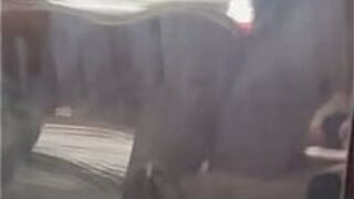 Эта не немая лол по-собачьи должна быть лучшей позицией. (Не для обсуждения, лол) - порно видео